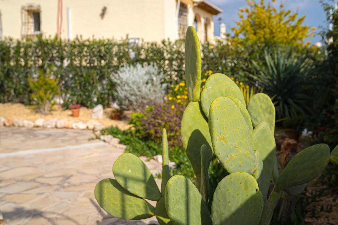 La Mandarina Appartement Orba Buitenkant foto